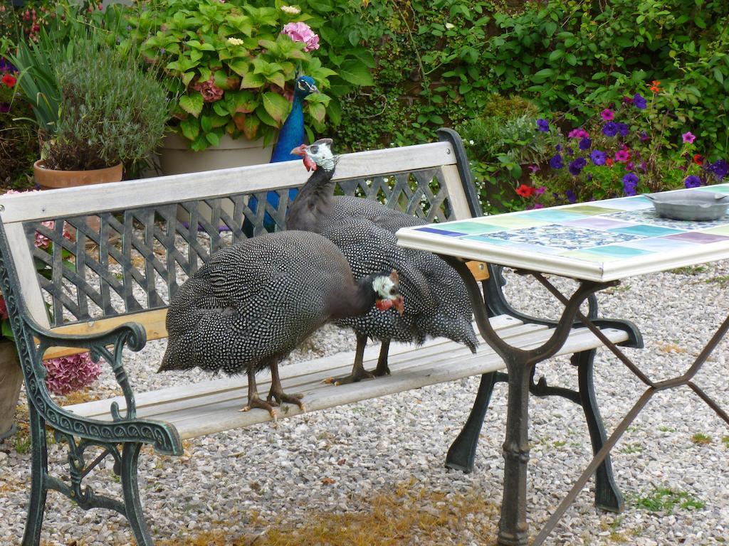 Manoir Francis Bed & Breakfast Marles-sur-Canche Luaran gambar